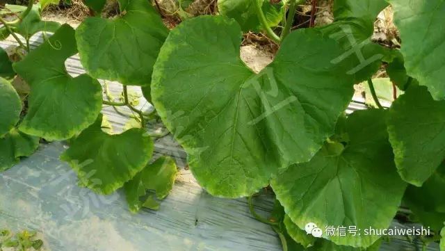 天气转凉如何预防,天气转凉吃什么药预防