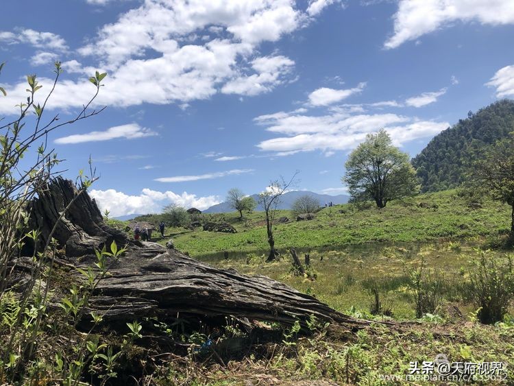 中国百慕大黑竹沟了解一下,穿越黑竹沟揭秘中国百慕大