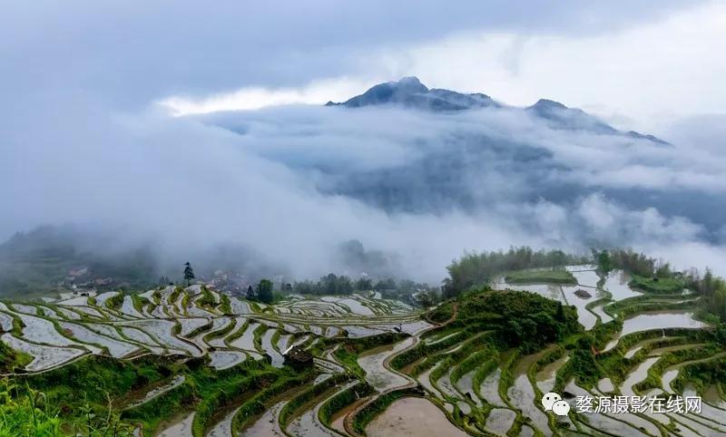 中国山水画摇篮,楠溪江为什么叫山水画摇篮