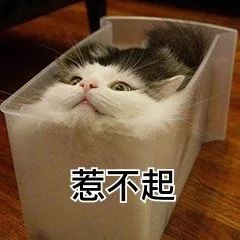 扒皮高考神秘人李华，他究竟是不是李雷韩梅梅的私生子？