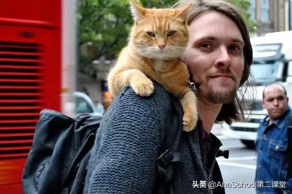 希望小孩内心做个纯粹的人,孩子妈妈希望你成为一个勇敢的人