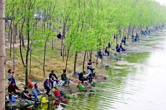 钓鱼者的情怀,钓鱼人钓的是情怀