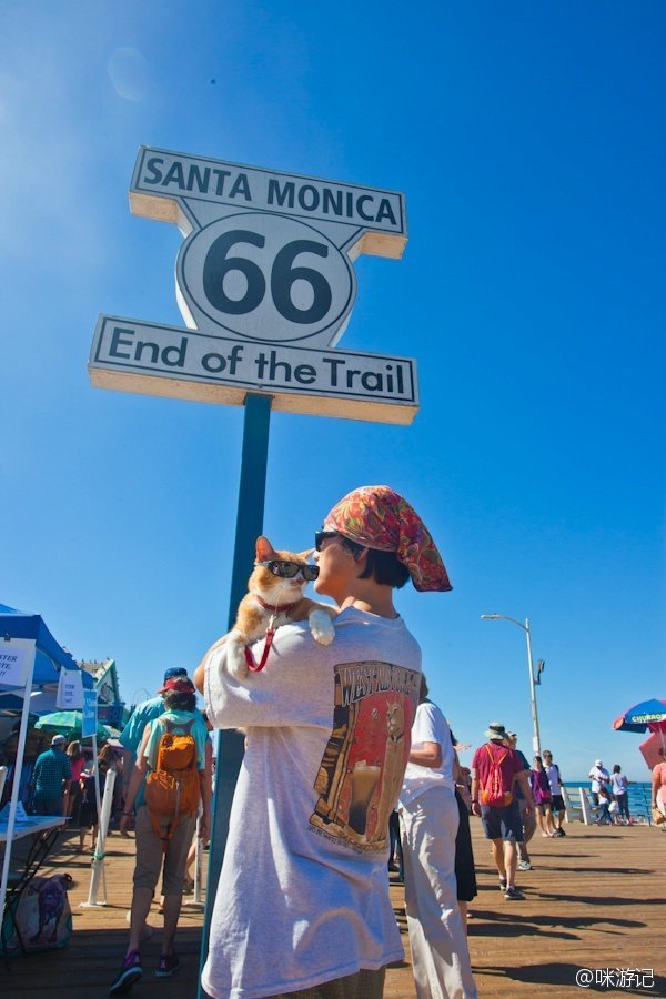 加州十大景观自驾线路,加州景点打卡攻略大全
