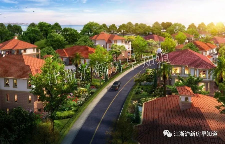 迪士尼别墅楼盘,上海浦东迪士尼花海自建房出售