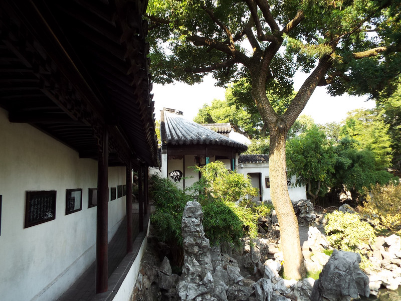 苏州古典园林中的狮子林,在苏州有哪些值得去的景点