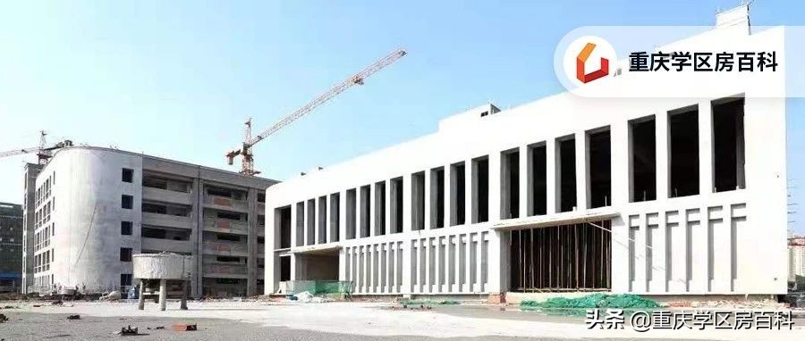 沙小、树人、七中!来看沙坪坝如何布局教育资源