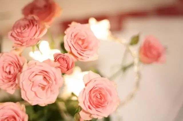 人生6句话渡人渡己句句在理,渡己亦渡人语录