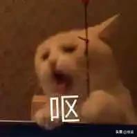 淘宝已被限制购买商品,淘宝本店已经被限制购买