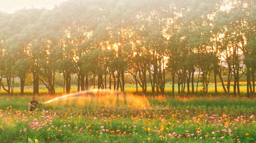 探店民宿普通房间,野风艺栈轰趴主题民宿