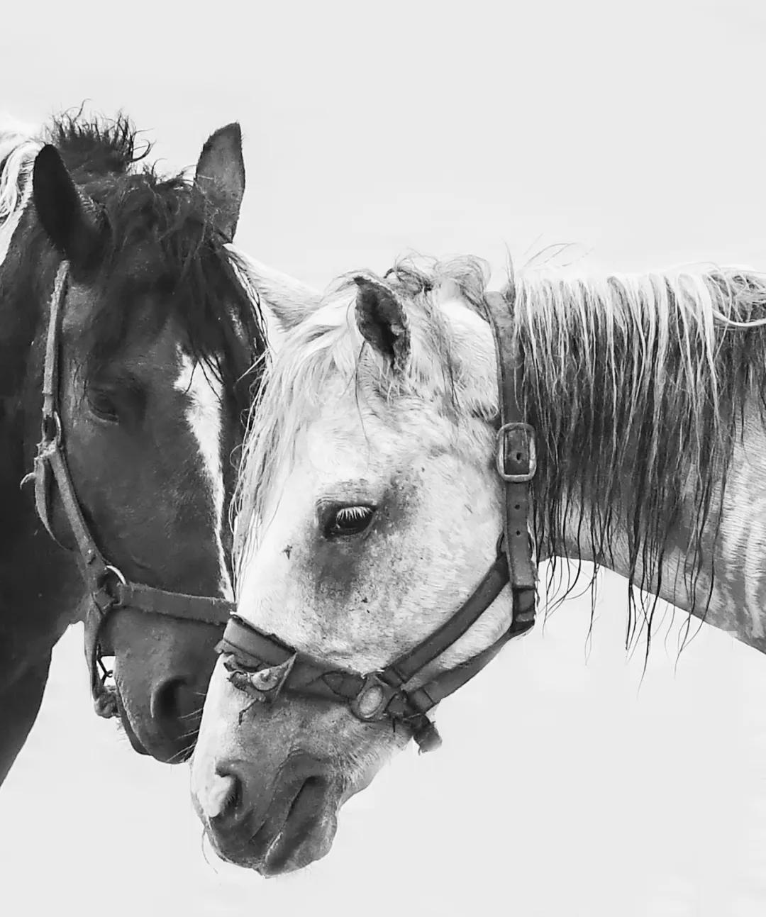 香港第14届全国摄影艺术展,第29届全国摄影艺术展览获奖名单