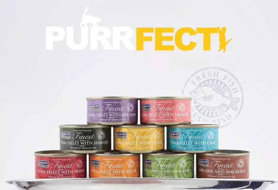 家里养猫但不碰猫也会得猫癣吗,猫得了猫癣怎么治好得快