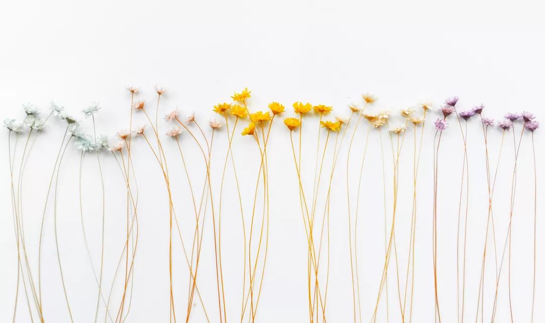 面部缺陷疾病,从面部可以看出哪些疾病