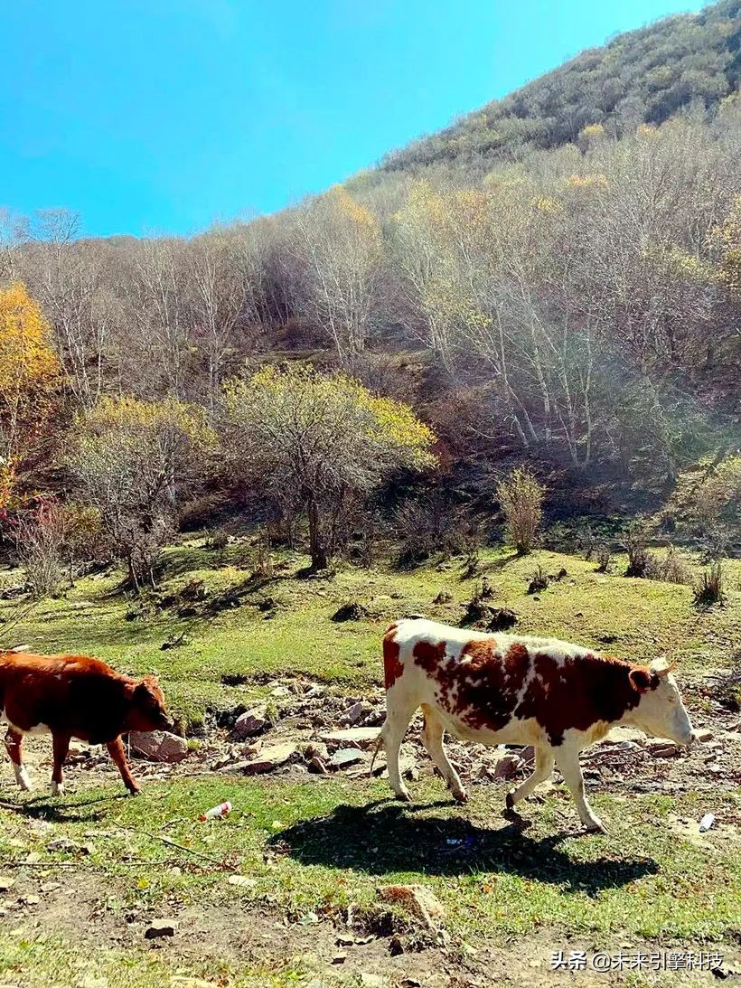 驭胜s350十大忠告,汽油驭胜s350十大忠告