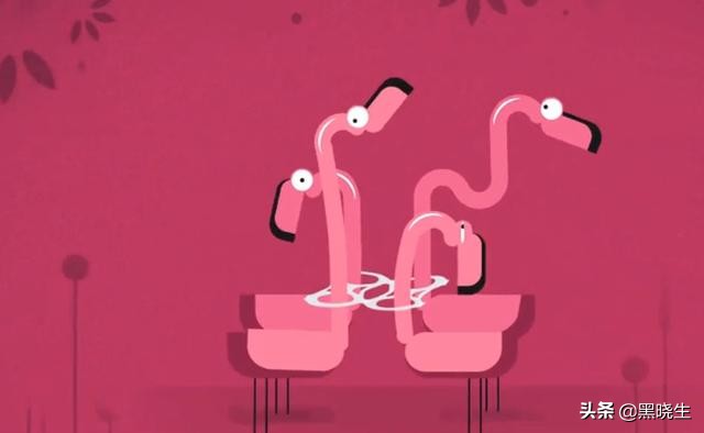 会捡垃圾的动物,动物捡垃圾的真实感受