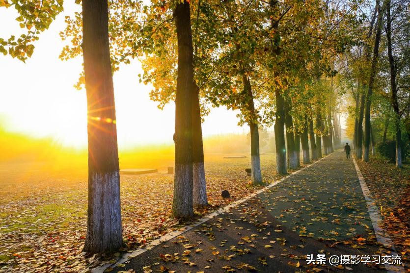 你还停留在摄影基本功上别人已经研究照片风格了-摄影照片分析