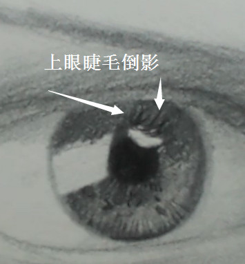 全切双眼皮视频教学,深圳双眼皮培训