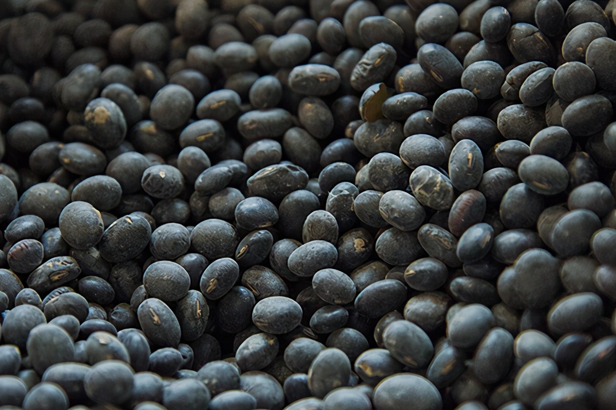 白头发越来越多是身体出了问题吗,长白发是缺乏哪些营养素