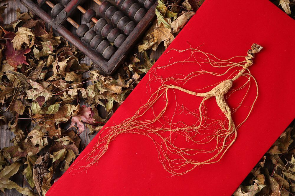 山参文化,野山参非遗