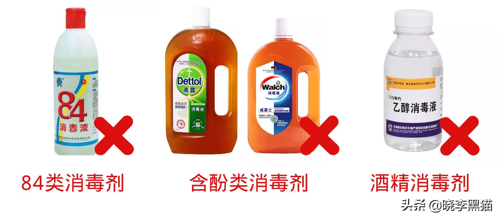 养猫家庭新冠对策全知道，别再听信谣言，也别再想当然了