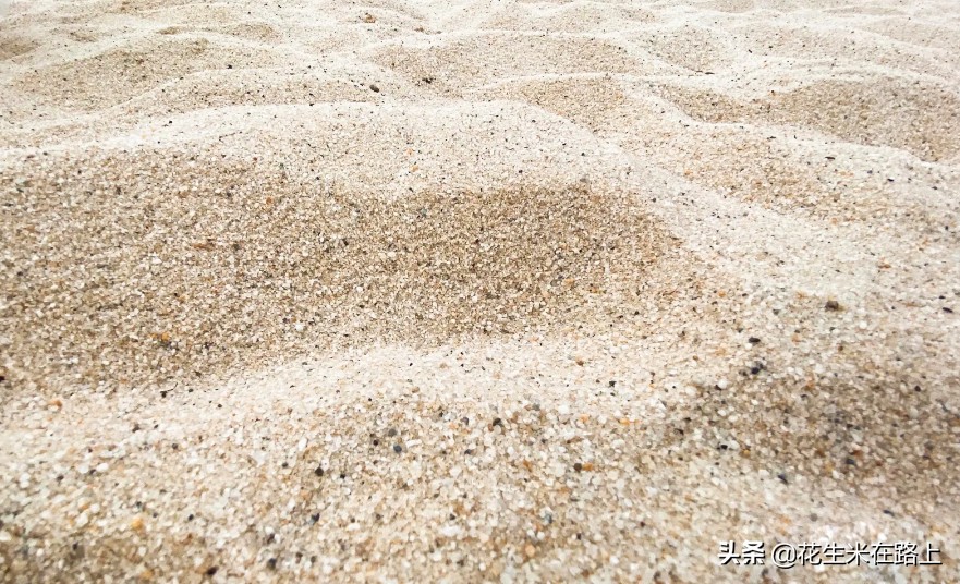 西安冬季带娃好去处户外公园,西安遛娃一日游的绝佳去处公园