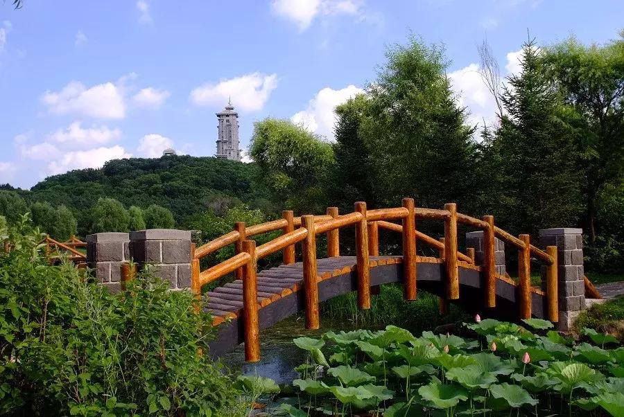 消夏季|我劝你哪凉快哪待着去！