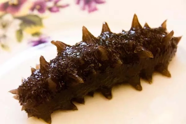 生发即食海参介绍,拉缸盐海参介绍