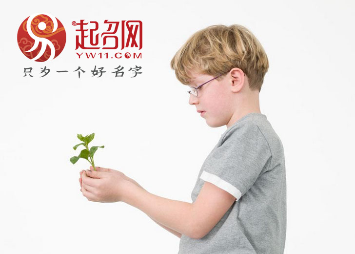 前程似锦的男孩名字火字旁,前程似锦的李姓有出息的男孩名字