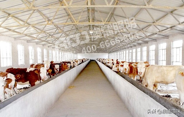 养殖场led灯泡超亮节能灯,养殖场led灯暖光好还是白光好