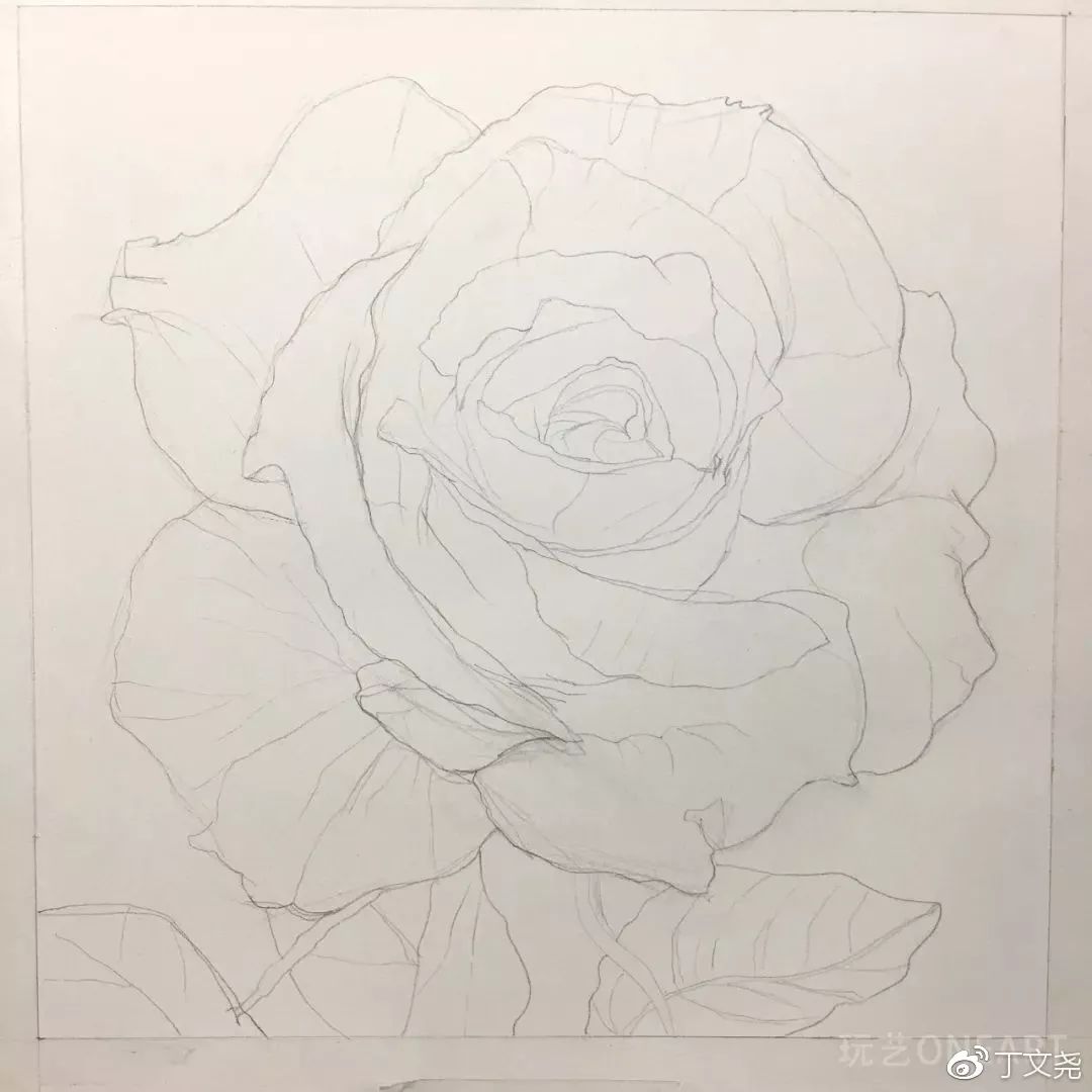 素描基础绘画教程郁金香,素描丁程鑫详细教程