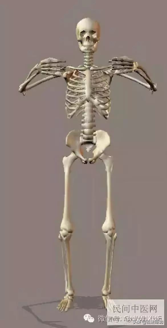 浑元技击桩,浑元桩