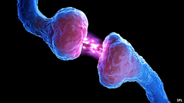 细胞为什么能永生,细胞为什么有自己的生长能力