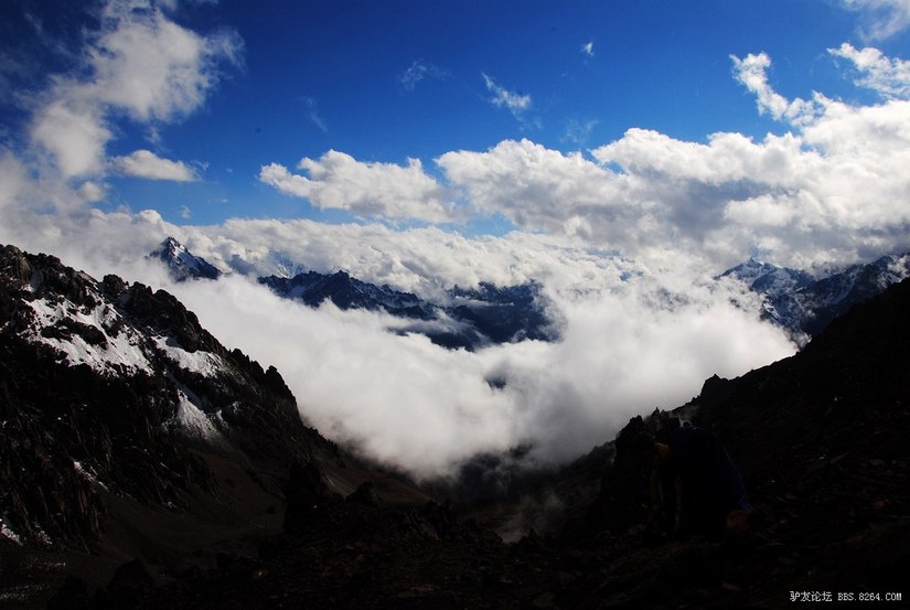 狼c调简谱教唱,狼c