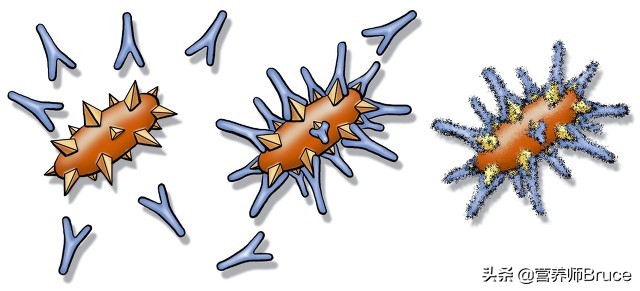 我们为什么会打喷嚏,我们为什么会感冒打喷嚏