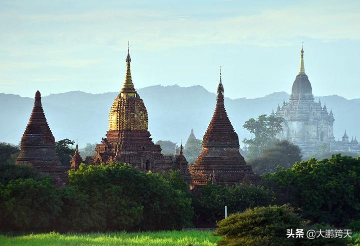 缅甸茶普洱茶,缅甸茶的特点