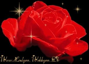 5201314，送你999玫瑰花，祝你爱情甜甜蜜蜜