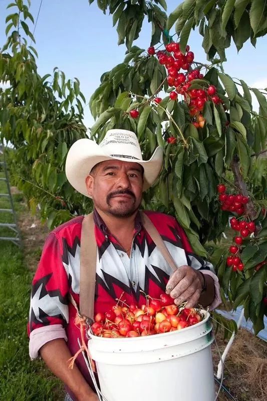 生鲜果蔬配送商城长春,全球顶级水果生鲜配送