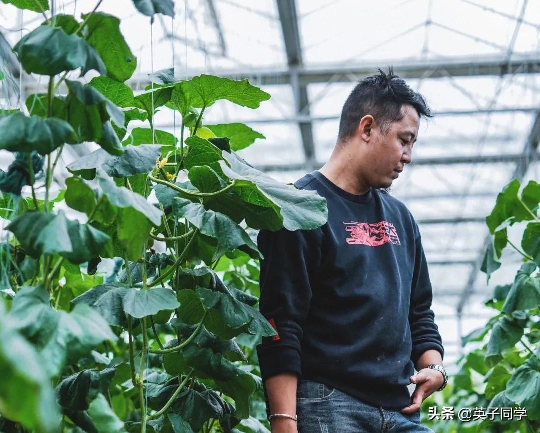 南昌农家乐采摘一日游,南昌采摘农家乐