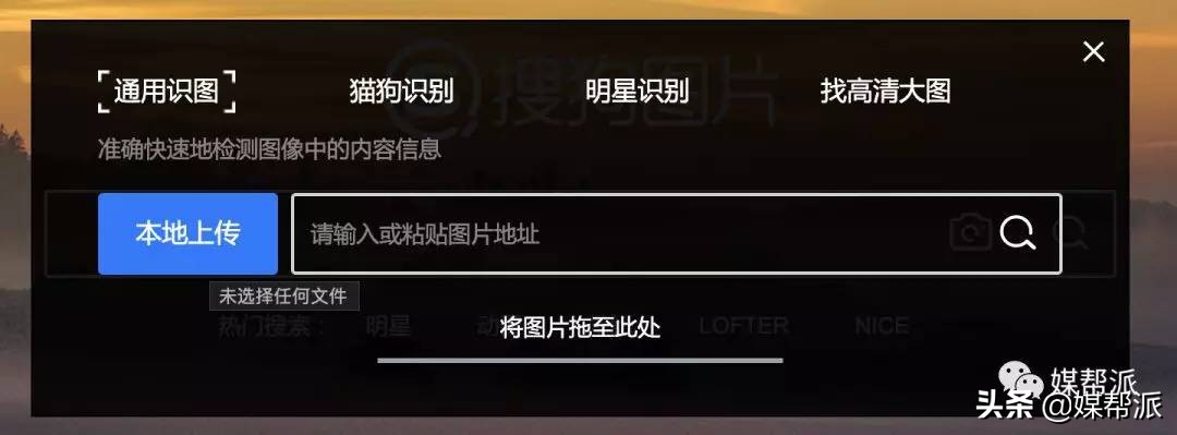 不花钱的万能识图软件,好用的识图工具