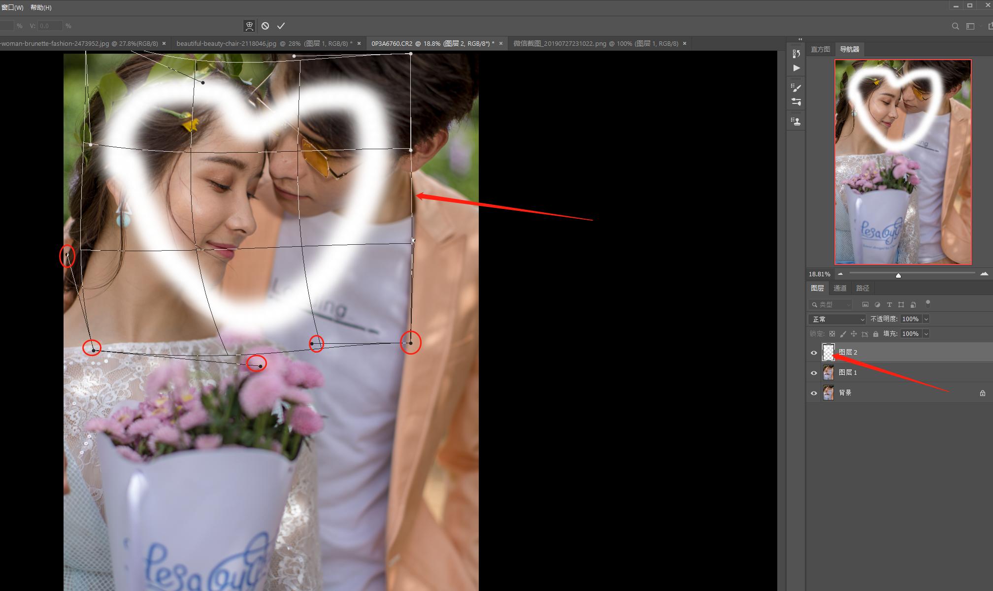 PS三大拦路虎之选区工具,7分钟循序渐进的轻松学习10种选区工具