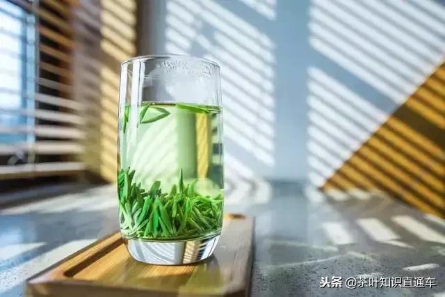 红茶绿茶冷知识,女生绿茶冷知识