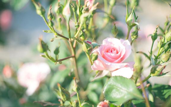 公司要求员工转发朋友圈怎么办,公司强制员工转发朋友圈去哪投诉