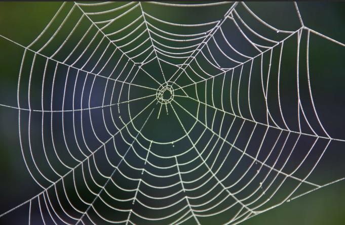 如何制定期货交易计划,期货交易计划