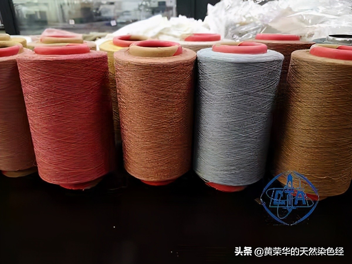 植物染布项目,植物染色工艺有几步