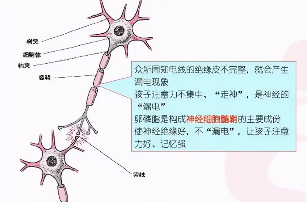 花了10年养的孩子,花了十二年把儿子养废了