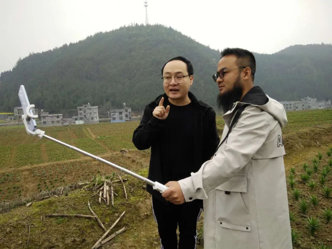 农村小伙回家创业种葡萄,农村小伙回家创业种甘蔗