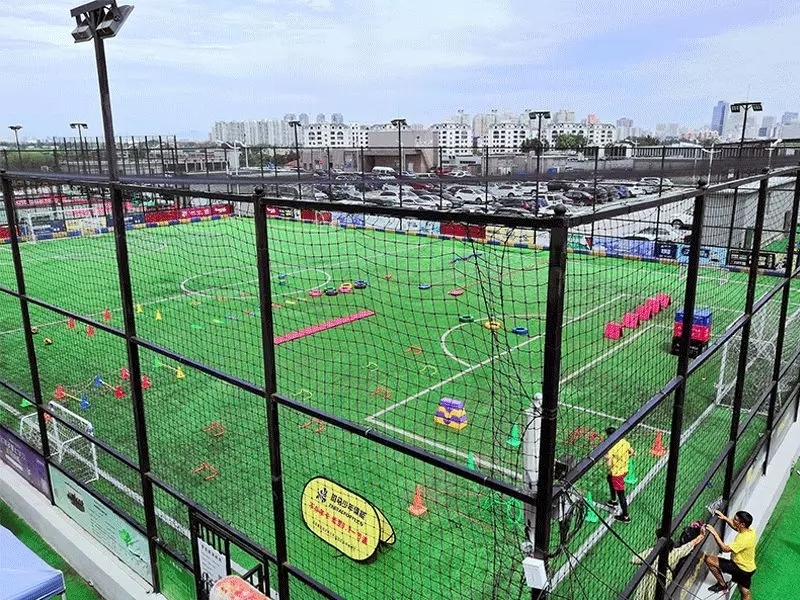 斑马少年运动平台,斑马少儿体能训练中心