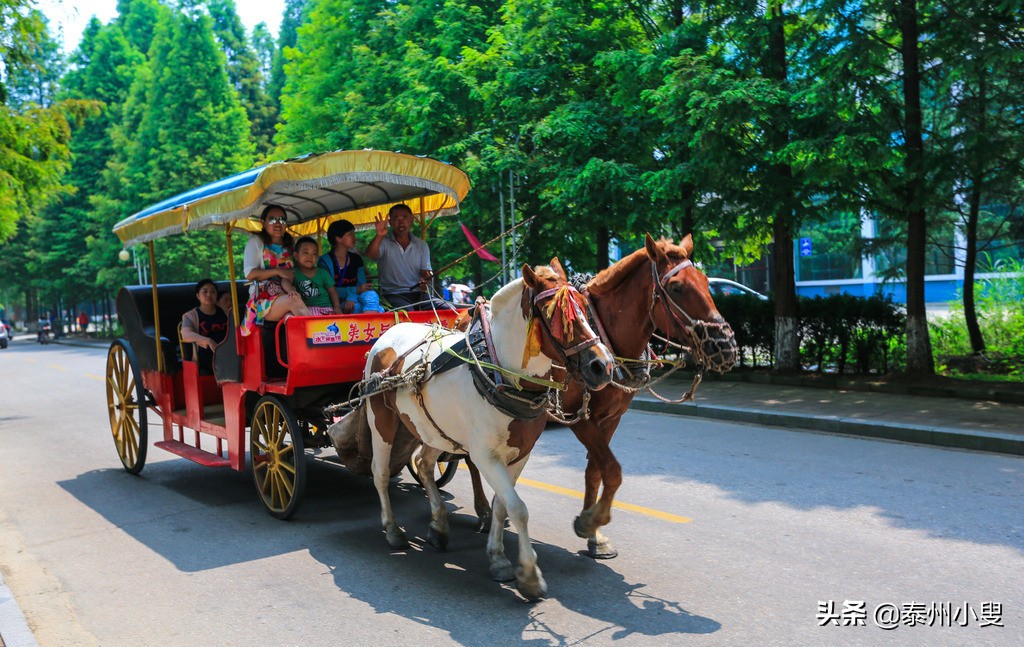 日照市出游攻略,日照市旅游一卡通