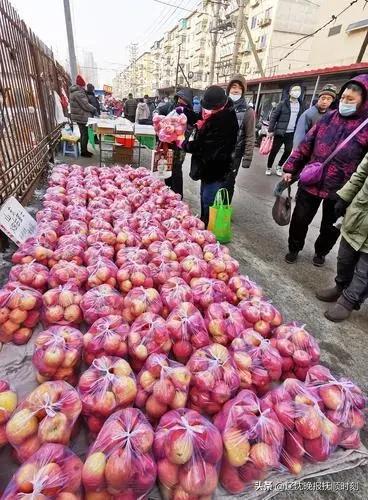 2017年4月26日抚顺日报,抚顺新闻19日新闻