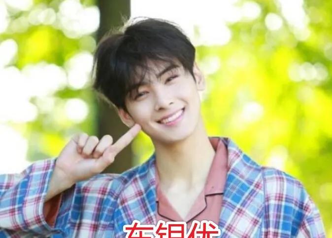 车银优和权志龙谁粉丝高,韩圈艺人感叹车银优