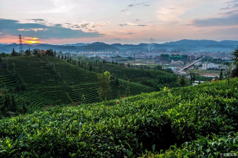 云南普洱旅游自由行攻略,云南普洱高端旅游攻略